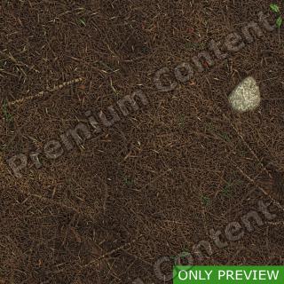 PBR substance preview forest ground 0004